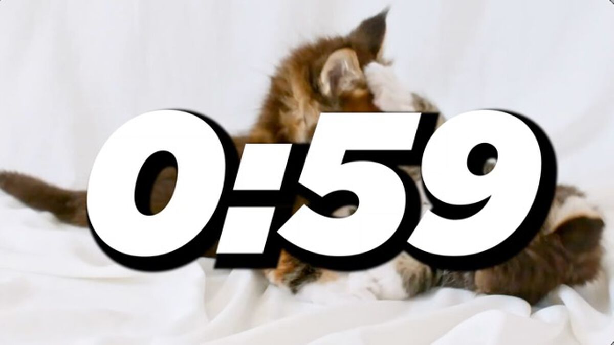 INTENSE 60 SEC CAT COUNTDOWN image number null